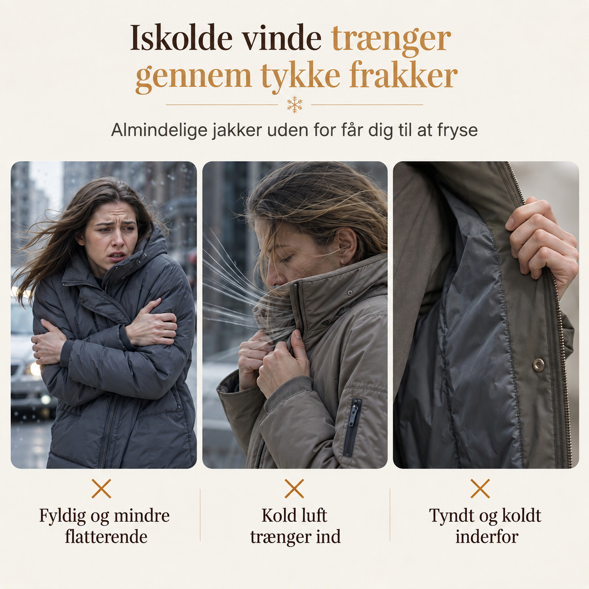 Iskolde vinde trænger gennem tykke frakker